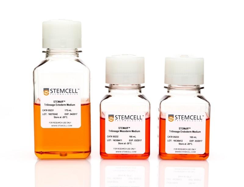 STEMdiff Trilineage differentiation kit | 製品情報 | ベリタス